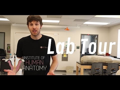 Tour of the Institute of Human Anatomy