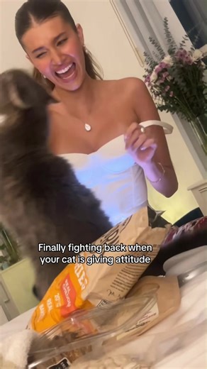Cats striking back #cat #catvideos #funny #funnycat #catsoftiktok | Funny Cat