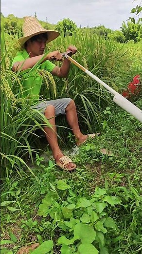 PVC pumping demonstration - siphon effect