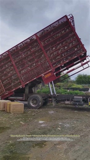 Low-Stress Duck Unloading with Hydraulic Tilt Truck (Not for Ducklings)