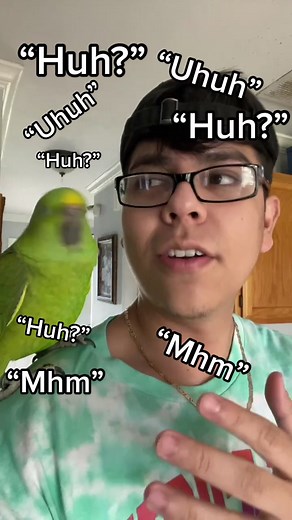 Decoding the Conspiracy Theory of Carly and Spencer