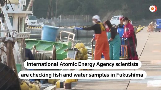 Scientists test Fukushima fish after nuclear plant water release