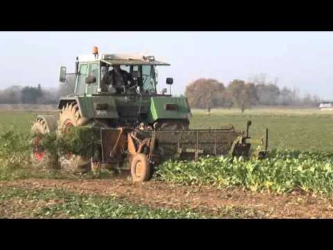 Rübenernte 2011 Bleinroth LB25 Ladebunker / Fendt 612 Case CS 150