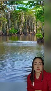 Una inmensa anaconda vive debajo de las aguas #poetry #rain #inteligencia #tendencia | Alejandra Herrera