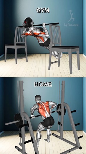 Back Workout (Home & Gym) #backworkout #pullday | Workout Inspiration