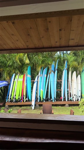 Discovering the Paradise of Hawaii: A First-Timer's Experience