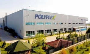 Change In Polyplex's Shareholding, Who Cut Stake In Polyplex?