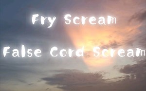 【极端嗓/嘶吼】近期我的False Cord scream和Fry scream（语音干声）