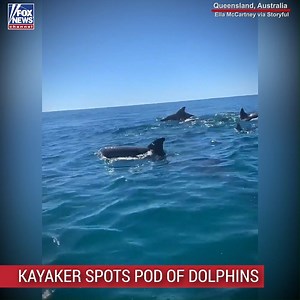 A kayaker was able to get amazing footage of a pod of dolphins swimming off the coast of Queensland, Australia. | Fox News