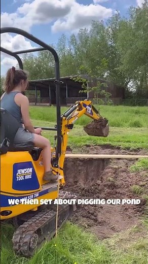 Hobbit Inspired Duck House Build