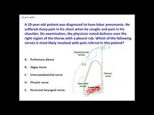 Anatomical basis of pleural referred pain