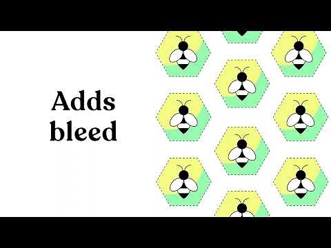 What is PitStop Pro?