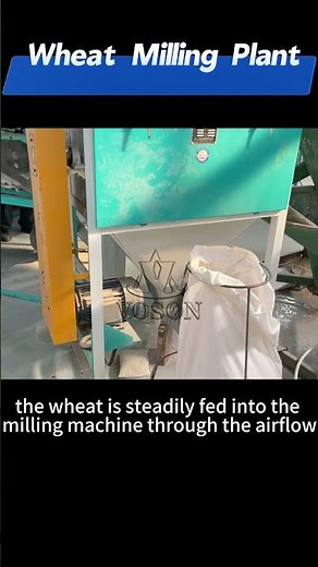 Wheat Flour Milling Plant | Efficient Wheat Processing Line