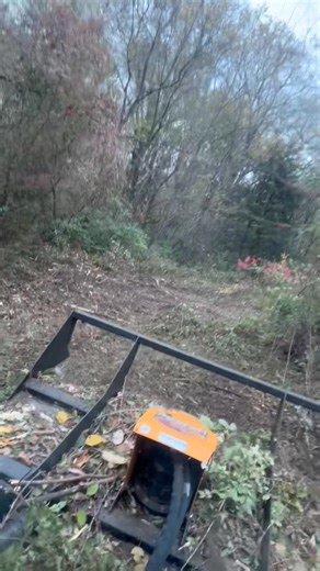 Today’s project for using the mega Mower X by QUICK ATTACH to take down some pretty heavy duty brush and it’s amazing ￼ #brushcutter #quickattach | Tom Young