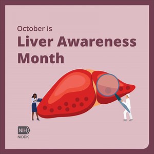 Your liver is a powerhouse! This Liver Awareness Month learn more about the largest internal organ in the human body – and what you can do to stay healthy. https://www.niddk.nih.gov/health-information/liver-disease?utm_source=facebook&utm_medium=social+media&utm_term=&utm_content=56e3c96d-9c74-4ad2-bfd9-ff07e5010eb1 | National Institute of Diabetes and Digestive and Kidney Diseases (NIDDK) | Facebook