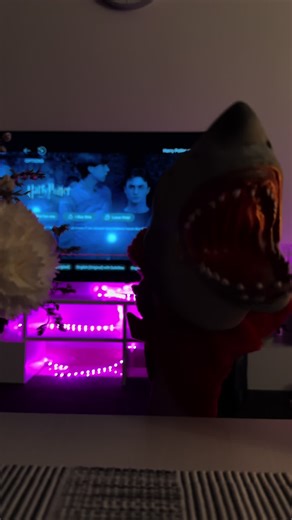 Shark Conservation: Answering Important Questions