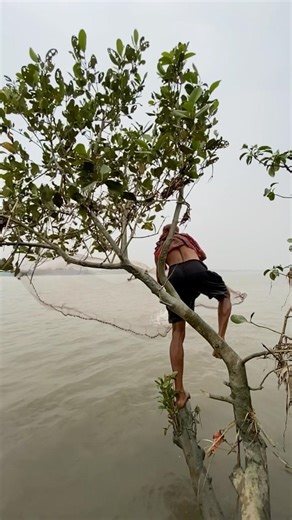 Big fish casch by castnet fishing #fishing #reels #fish #vairal #enjoy #funny #fyp