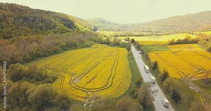 Beautiful Spring flower fields of color, energy and bloom. All shot in 4K, color graded and diversely picked to tell any story as needed. Wide, medium and close ups.