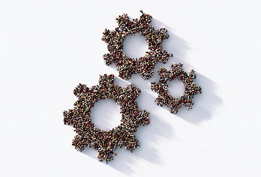 Daily Management Systems