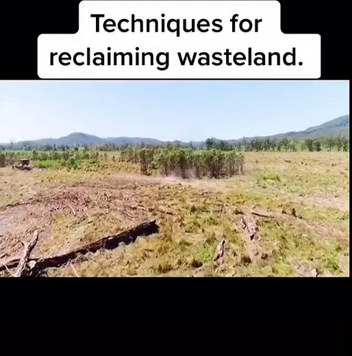 CAT Bulldozer Techniques for Reclaiming Wasteland