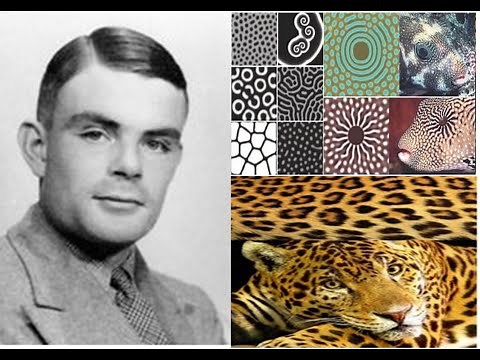 🟡🌟Spontaneous Symmetry Breaking, needs SYMMETRY. Alan Turing’s 1951 Chemical Basis of Morphogenesis
