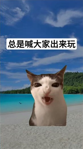你是其中之一吗？ [OTCat]