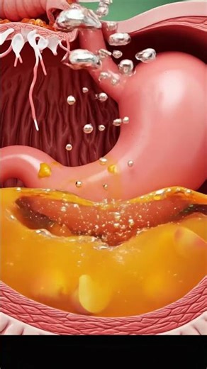 Eating Healthy Peach Facts #facts #peach #health