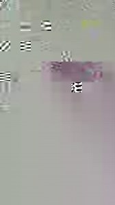 HACK: How To Set Up PERFECT Bulgarian Lunges! 👇🏼 | nourish move love