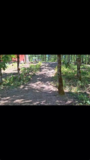 Brush clearing/fire prevention 509.780.2122 call henry/mike free bids/ free ideas | Clint Young | Facebook