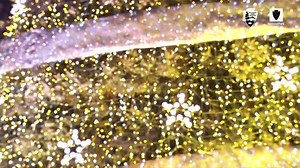 644K views · 6.5K reactions | The White House Christmas tree was lit | CNN | Facebook