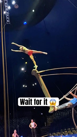 How Acrobats Train These Death-Defying Catches?😱 #circus #acrobatics #training