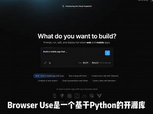 Browser Use功能介绍