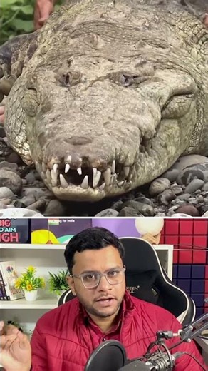 The True Story of Pocho the Crocodile #facts #shortvideo