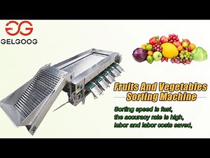 Roller Type Classifying Machine Sorting And Grading Of Fruits And Vegetables