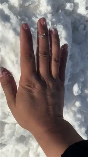 Building Wooden Log Cabin in Forest 🌲❤️ । Survival House Step by Step"2 #shorts #shortvideo