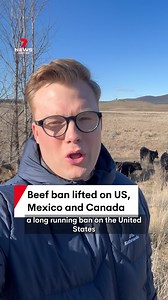 13K views · 112 reactions | Labor insists a move to relax a ban on U.S. beef wasn't made to appease Donald Trump. Restrictions on imports are being lifted despite lingering concerns over biosecurity risks from Australian producers. #beef #cattle #farming #farmers #australia #7NEWS | 7NEWS Australia | Facebook