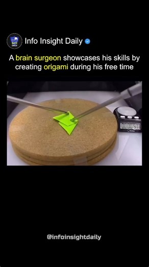 Info Insight Daily | A brain surgeon showcases his skills by creating origami during his free time. Follow 👉🏻 @infoinsightdaily for more #doctor #origami #surgery | Instagram
