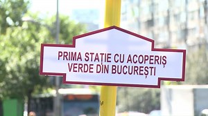 36K views · 108 reactions | În cazul în care n-ați apucat să vă notați, mușchiul se numeşte Sedum, zis și Iarba Grasă. Ca să fie frumos, ca să fie bio, ca să fie presă. | ApropoTV | Facebook