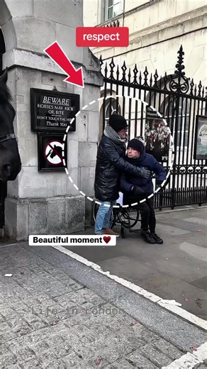 Respecting the King Guard Horses: A Royal Tradition