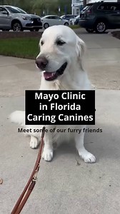 26K views · 580 reactions | In the recipe to living a healthier life,...