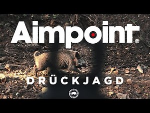 Drückjagd bei Aimpoint | Jagd der Spitzenklasse auf 5000 ha