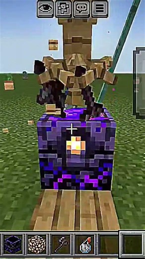 amaziing 😍 bild hack #minecraft #minecraftsurvivalseriesepisode1 #viral