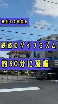 【全29踏切】西武新宿線 高田馬場〜鷺ノ宮、踏切動画総集編！ #Shorts #踏切 #西武鉄道 #西武新宿線