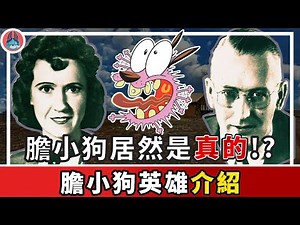 讓人不舒服 小孩不該看的作品《膽小狗英雄》【帥狗】