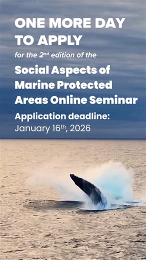 ‼️ LAST DAY TO APPLY ‼️ for the 2026 Social Aspects of Marine Protected Areas Online Seminar, an online professional development/capacity sharing program offered in partnership with the Blue Nature Alliance that is designed to support MPA practitioners in strengthening the social aspects of their management work. The seminar brings together practitioners from around the world to learn, reflect, and collaborate on approaches that advance effective and equitable marine conservation. 🐋 SCHOLARSHIP