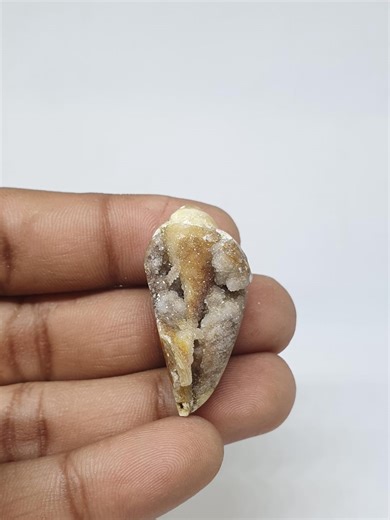 Gastropod Crystallized Fossil Shell Beautiful Gastropod Crystallized Fossil Shell Rare Gastropod Crystallized Fossil Shell for Jewelry - Etsy UK