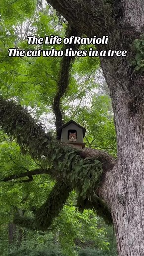 MAGIC MAN (@magic.man62)’s videos with original sound - MAGIC MAN