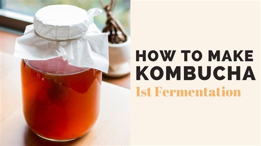 Kombucha 1st Fermentation: How to Brew Your Own Delicious Kombucha!