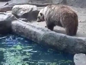 631K views · 4.9K reactions | Lo que verás te asombrará. | Mi Contenido Virtual | Facebook