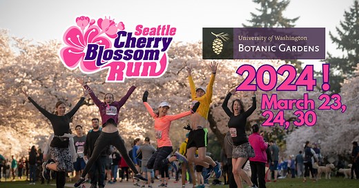 Seattle Cherry Blossom Run